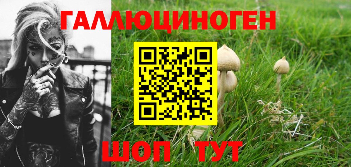 Псилоцибиновые грибы GOLDEN TEACHER Подольск